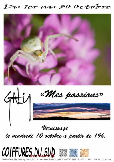 Exposition Photographique "mes Passions" de Jonathan GALY 