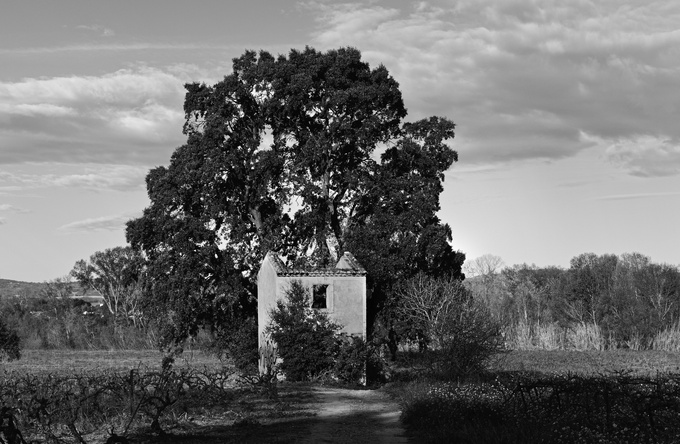 Exposition photo -  " De pierres et de ronces " - Caveau des Vignerons de Cabrières