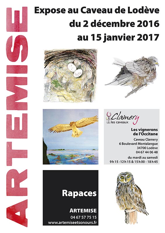 Expo ARTEMISE au Caveau Clamery à Lodève