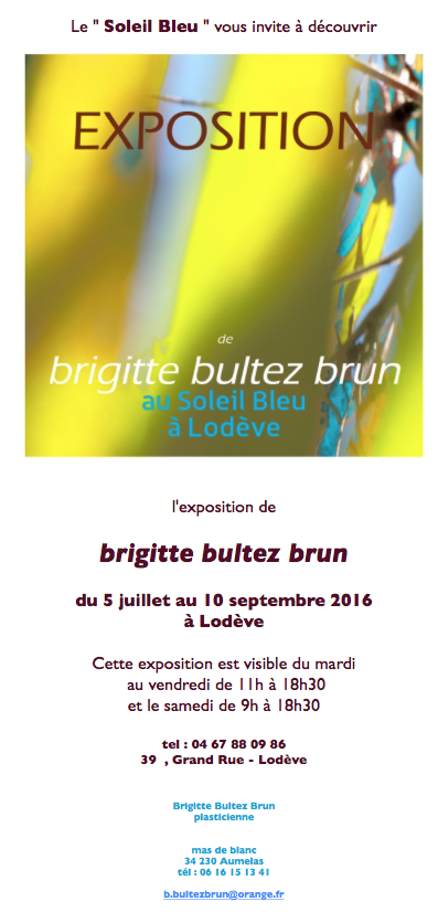 Exposition de Brigitte Bultez - Brun au " Soleil Bleu " à Lodève