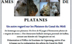 livre de photos  " ÂMES DE PLATANES" - Maison Cantonnière, office de Tourisme de Capestang