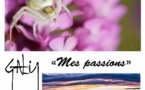 Exposition Photographique "mes Passions" de Jonathan GALY 