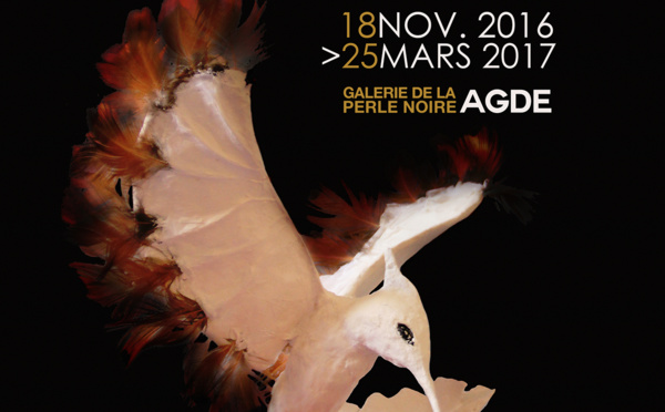 Expo "Délices insensées" - Agde