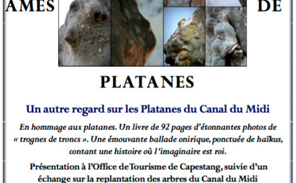 livre de photos  " ÂMES DE PLATANES" - Maison Cantonnière, office de Tourisme de Capestang