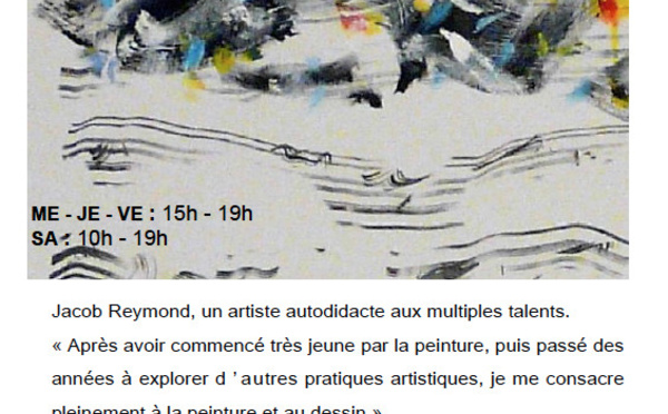 Exposition - Jacob Reymond -  " RYTHMES " à CREST