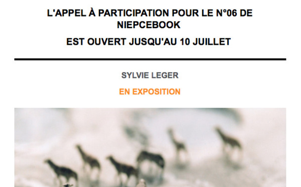 EXPOSITION SUR CORRIDOR ELEPHANT CETTE SEMAINE