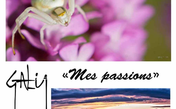 Exposition Photographique "mes Passions" de Jonathan GALY 