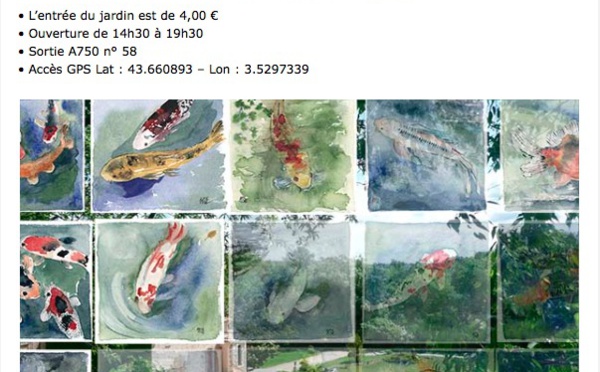 ARTEMISE &amp;... ses Carpes