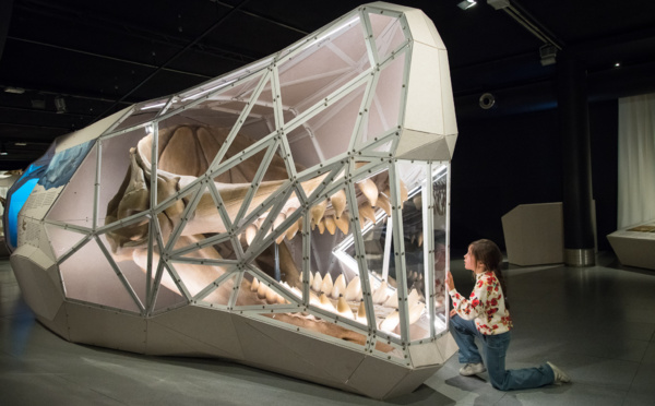 Exposition GEANTS au Muséum de Toulouse